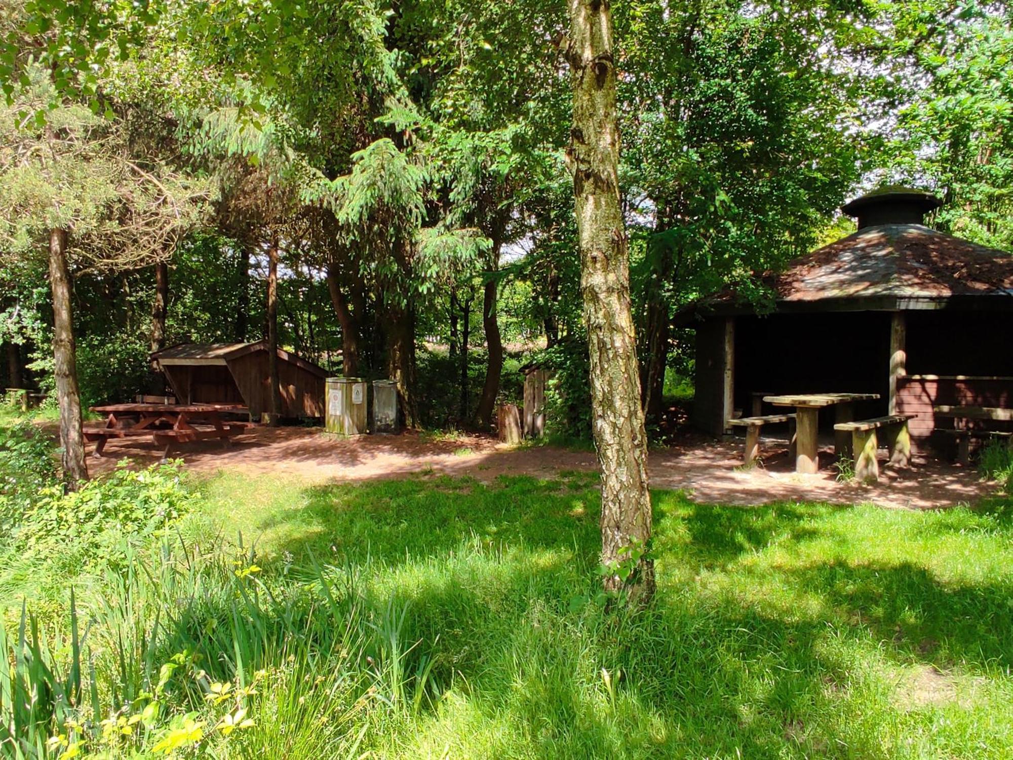 Emily'S Garden Bed & Breakfast Lintrup Eksteriør bilde