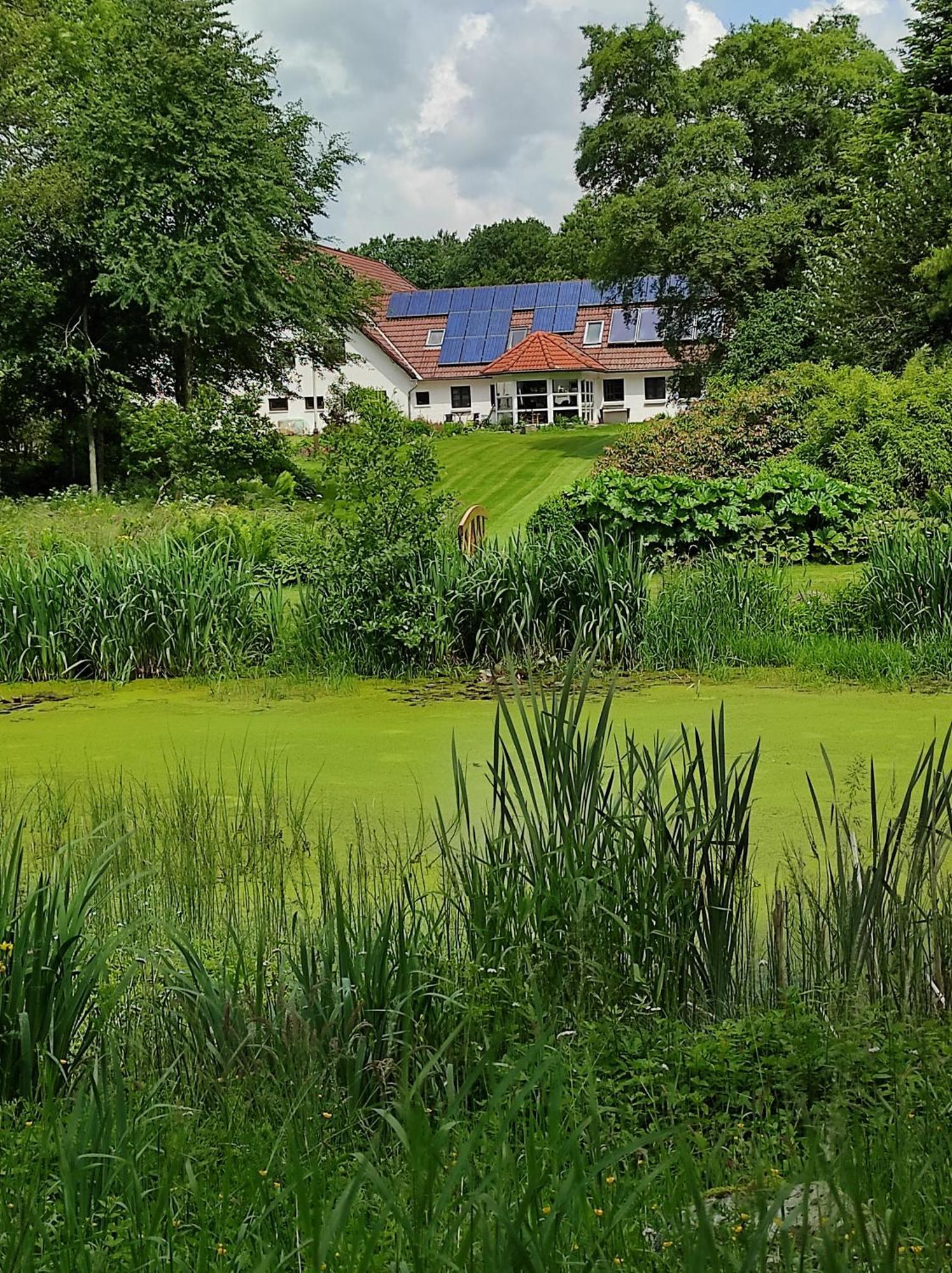Emily'S Garden Bed & Breakfast Lintrup Eksteriør bilde