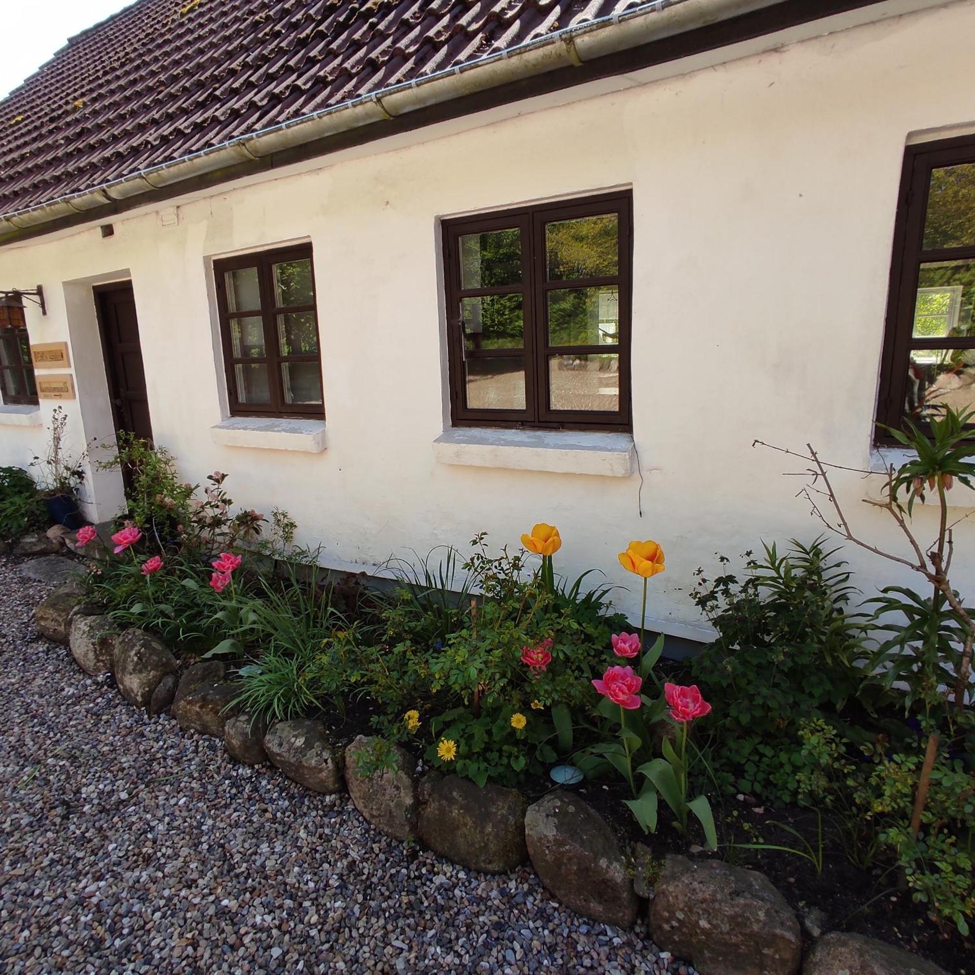 Emily'S Garden Bed & Breakfast Lintrup Eksteriør bilde